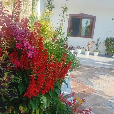 بيت للعطل Nest Garden House